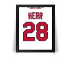 Tom Herr St  Louis Cardinals Comparable Photo Picture - 8x10 11x14 16x20  jz 
