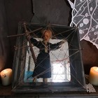 Dybbuk Box  Conduit Doll  Demon Trap  Negative Entity  No Usa Tariffs To Pay