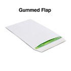 Staples Gummed Flap Seal Economy White Wove Catalog Envelopes 6  X 9  250 bx