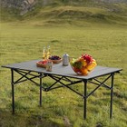 Folding Portable 47inch Camping Outdoor Picnic Table Carbon Steel With Carry Bag
