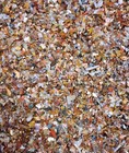 Rock Tumbling Rough Premium World Mix 2lb Colorful Agate Jasper Tumble 1 8-1 4 