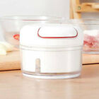 Garlic Cutter Fruit Vegetable Onion Press Manual Food Speedy Chopper Hand Pull