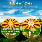 2 Years Aa Sobriety Coin Aa Na Ha Alcoholics Anonymous Chips Medallion Gifts Men