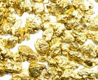  090  Grams Alaskan Yukon Bc Natural Pure Gold Nugget From Hand Picked Lot