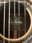 Cordoba Gk Pro Negra Acoustic-electric Guitar     Brand New  