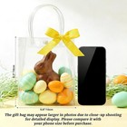 Clear Gift Bags With Handles - 10 Party Favor Candy Bags  Plastic Goodie Bags