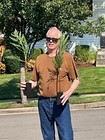 8 Giant Sequoia Redwood Trees  You re Buying 8 Trees