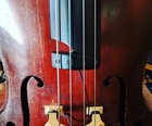 Krivo Magnetic Pickup For Upright Bass     World s  1 Selling Magnetic Bass Pickup