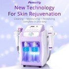 Pro 6 In 1 Hydro Dermabrasion Deep Cleanse Machine Facial Skin Glowing Home Spa