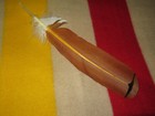 Native American Made Hawk Feathers Red Tail Mature Hawk Painted Feather