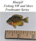  1  Bluegill Hat Or Lapel Pin - Freshwater Series