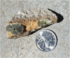  old Stock  Wavellite Crystal Specimen From Montgomery Co   Arkansas