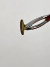 Revolutionary War Massachusetts Small Button     Dug In Virginia