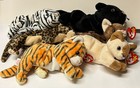 Ty Beanie Babies 6 Pc Cats Lot All W  Blizzard Freckles Stripes Velvet Siam