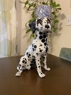 Vintage Italian Pottery Dalmatian Puppy Dog Ceramic Large Floor 12    Gift Idea