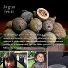 Henna Tattoo Kit Gel Ink Waterproof 78 Free Stencils Diy Tattoos Freckles Women