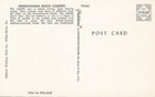 Amish Boys In Pennsylvania Dutch Country Vintage Unposted Postcard