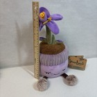 Greenhouse By Russ 12    Plush Rare Asher The Orchid Purple Nwt