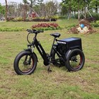 Three Wheel 7 Speed 14 4ah Fat Tire 750w 48v Electric Tricycle Ebike Bicycle