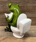 Frog On Toilet Resin Figurine 4  X 4 