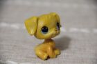 Lps 2004 Littlest Pet Shop  21 Golden Retriever Puppy Dog Blue Eyes No Tail Rare