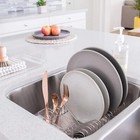 Steel Dish Drainer With Clear Plastic Tray And Cutlery Holder  Compact Space
