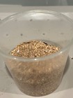 Live Mealworms Hatchlings - 0 3cm - 3000 Up 10000 Count