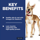 Hill s Science Diet Adult Chicken   Barley Recipe Dry Dog Food