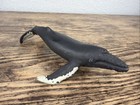 Sperm Whale Figurine 6 5    Long Safari Ltd 2013 Hard Rubber