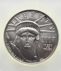 2007 W  100 1 Oz Platinum American Eagle Burnished Ngc Ms70 - Rare Early Release
