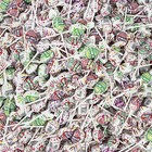 Charms Blow Pops Assorted Flavors - Individually Wrapped - Fresh Bulk Candy
