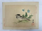 Japanese Woodblock Bird Print    kinseimeika-kachogafu    12 Print 1899