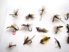 59 Antique Vintage Trout Fishing Flies In Bill Dewitt Pyra-shell Baits Box