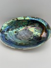 Natural Iridescent Abalone Shell  mother Of Pearl  