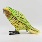 Bh7845 Hansa Kakapo 33 Real Animal Plush Doll