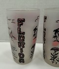 Vtg Mid Century Frosted Glass Florida Map Souvenir Glasses Set Of 4 Barware