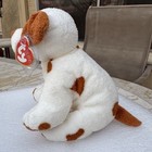 Peppy Ty Pluffies Dog Plush 2007 Mwmt Retired Tag Protector
