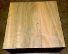 Beautiful Exotic Garlicwood Bowl Blank Turning Block Wood 10  X 10  X 4 
