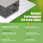 3000w Dimmable Full Spectrum Led Grow Light For Indoor Plants 4x4 5x5ft Coverage