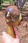 Set Of 4 Vintage Glass Ball   Brass Eagle Claw Table Legs     Smoky Lavender Read