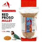 Morning Bird Red Proso Millet Bird Seeds     Healthy   Nutritious Pet Bird Food