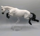 Breyer Traditional Horse     Custom Bristol     Cm Black Roan appaloosa     