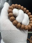 13     11   mm Double Fin Pumpkin Hedgehog Walnut Bracelet                                     