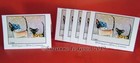  Siamese Oriental Cat Christmas Cards  6 Pack Original Painting Suzanne Le Good