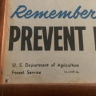 1954 Smokey The Bear Original Poster