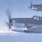 Vintage F6f Hellcat Grumman 8 5 X 11 Promotional Photo Print Military Aircraft