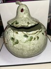 Hand Painted Dried Gourd Sage Ladybug Butterfly Dragonfly Flowers 10 lidded Bowl
