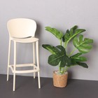 1 6 Scale Dollhouse Miniature Green Potted Plants Flowerpot Garden Accessories