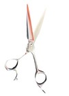 Hikari 6  Right-handed Shears Scissors  japan 