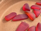 Tumbled Sea Glass Chunks shards Red-orange Pigeon Blood Amberina Lot 1829